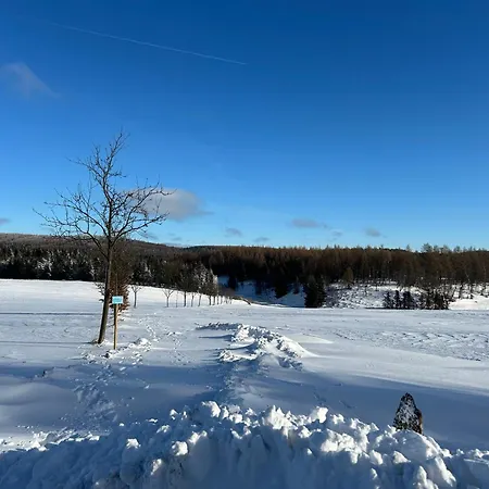 Waldblick Mit Sauna
