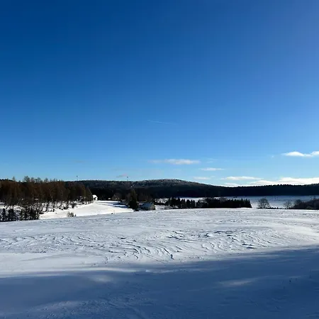 Appartement Waldblick Mit Sauna Deutschneudorf