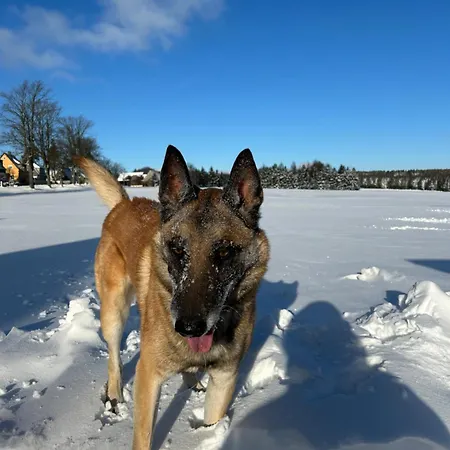公寓 Waldblick Mit Sauna