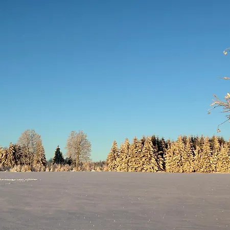 Waldblick Mit Sauna *