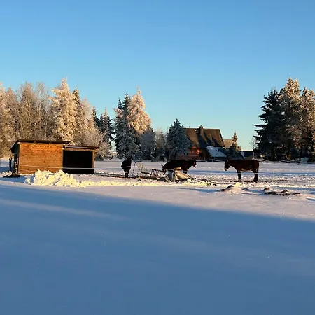 Appartement Waldblick Mit Sauna *