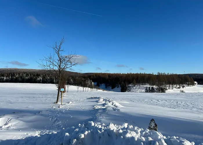 Waldblick Mit Sauna