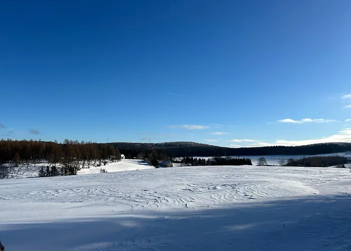 Apartman Waldblick Mit Sauna Deutschneudorf