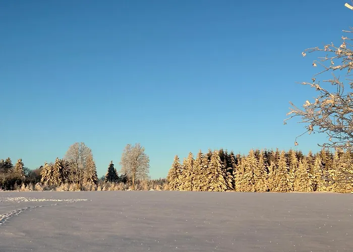 Waldblick Mit Sauna *