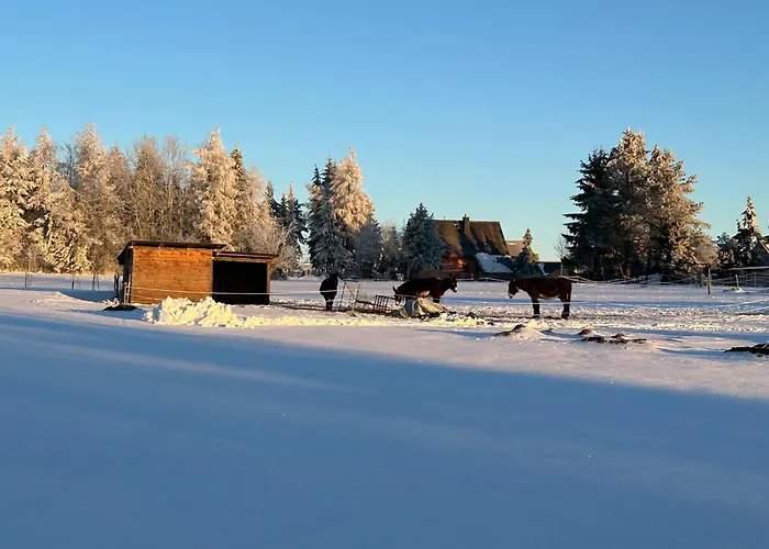 Apartman Waldblick Mit Sauna *